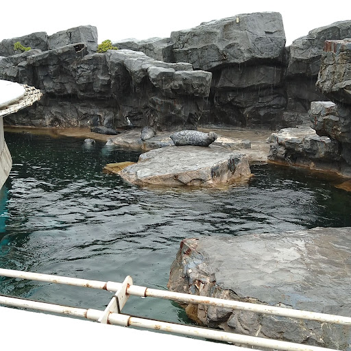 子連れの鴨川シーワールド 雨でも大丈夫 とみつくブログ