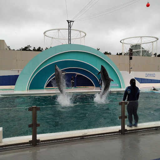 子連れの鴨川シーワールド 雨でも大丈夫 とみつくブログ