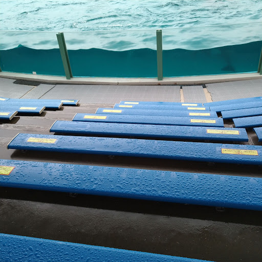 雨の日の鴨川シーワールドのシャチエリアの座席