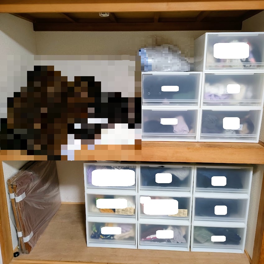 物を減らしたあとの押入れ